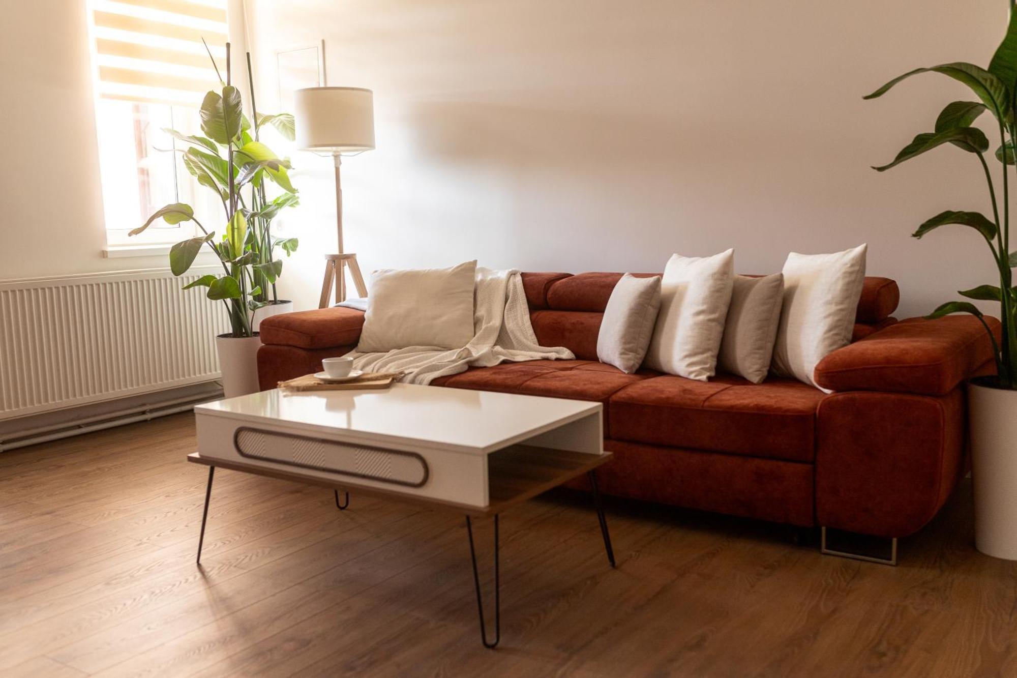 Bleyer Haus Central Apartment Oradea Eksteriør billede